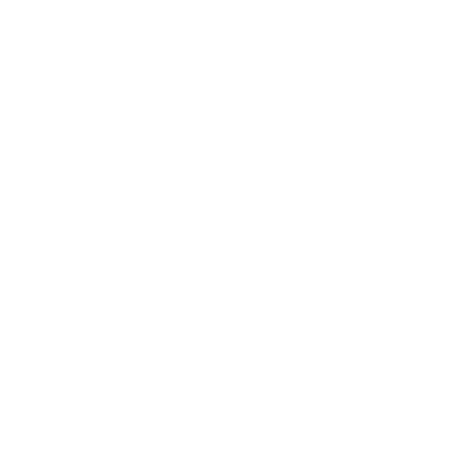 Airvan International: global service