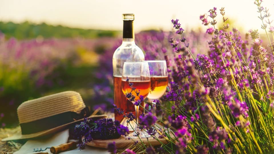 Wine and lavender field in France as a symbol of economy and culinary culture