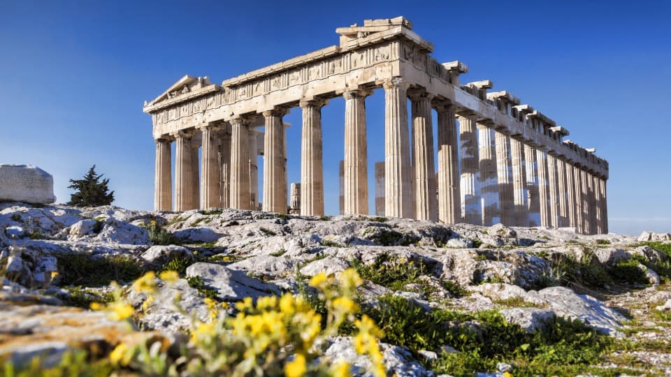 Parthenon on the Acropolis in Athens with rocky foreground and yellow flowers