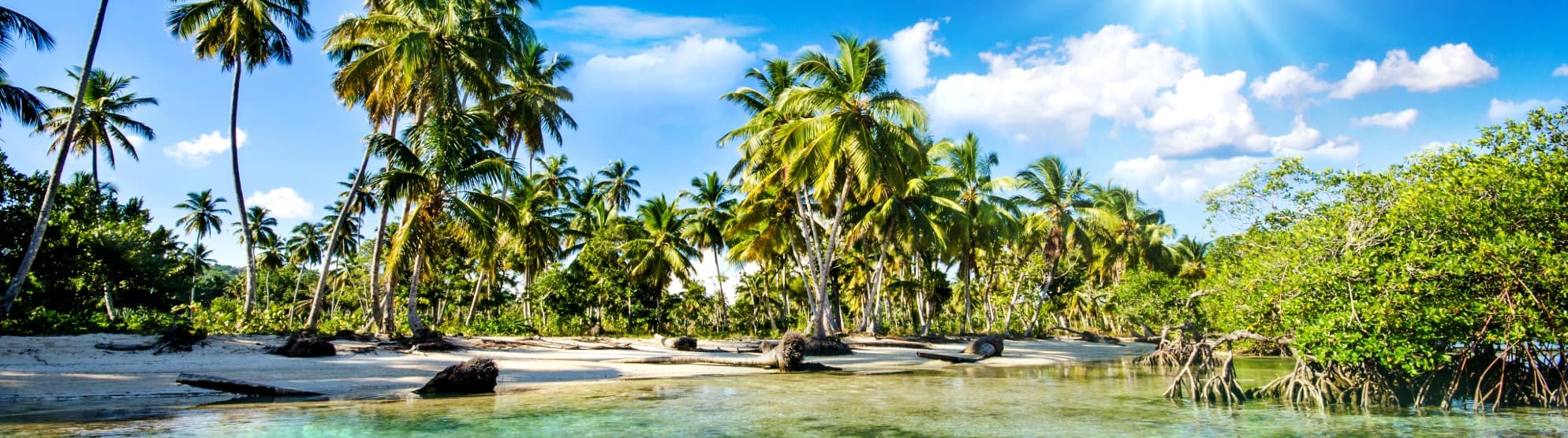 Emigrate to the Dominican Republic