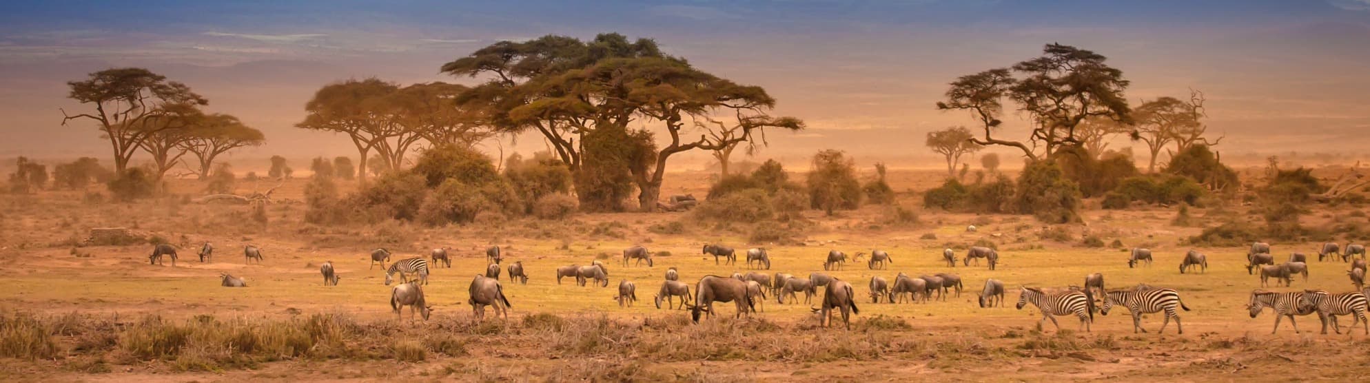 Emigrate to Kenya