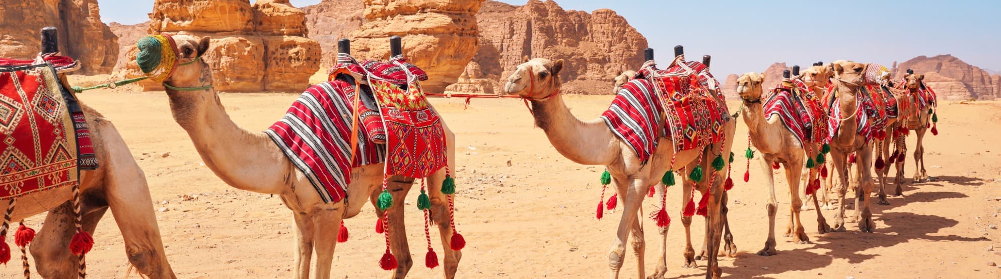 Emigrate to Saudi Arabia