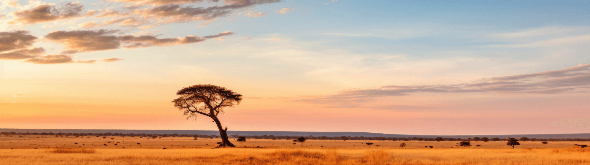 Emigrating to Ivory Coast