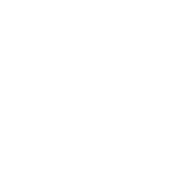 Globe with shield – icon for worldwide validity and protection in case of removal damage.