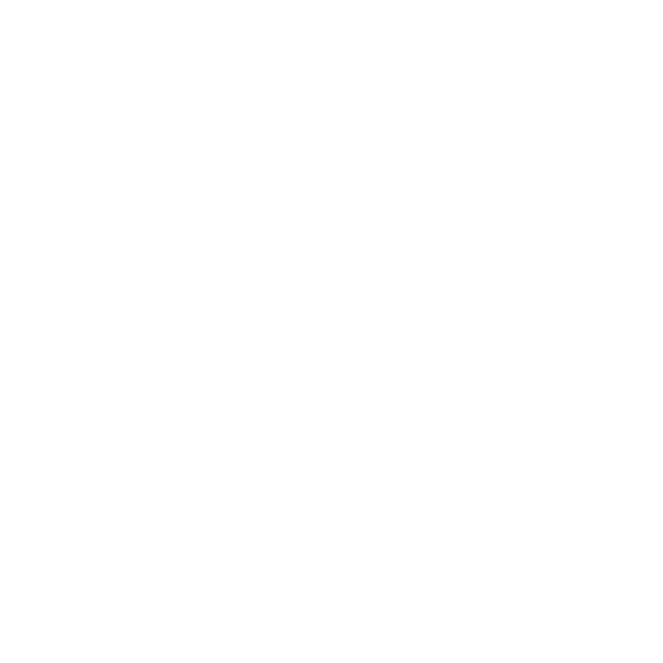 Check mark indicates fulfilled customs guidelines for China.