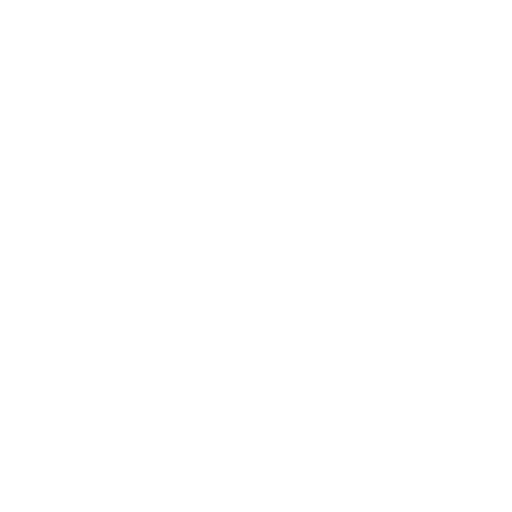 Icon of a shield with checkmark – symbol for highest security
