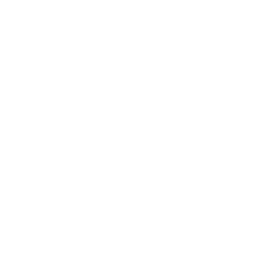 Expert customs clearance – controlled border checkpoint