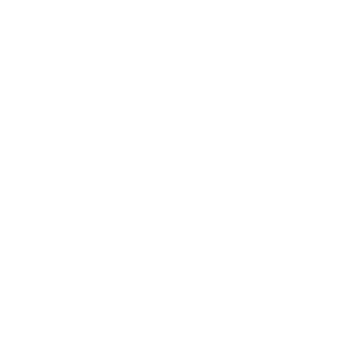 Container ship icon with shield – comprehensive coverage in case of major damage during removal.
