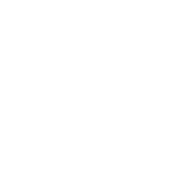 Container ship icon with shield – comprehensive coverage in case of major damage during removal.