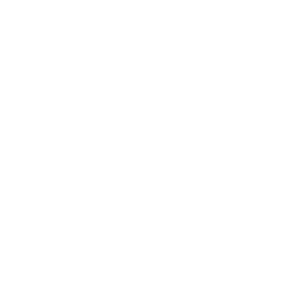 Icon of a shield with a check mark – symbol for verified quality and high safety