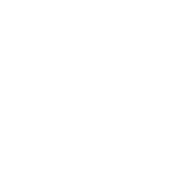 Icon padlock with checkmark – secure load securing through specialty packaging