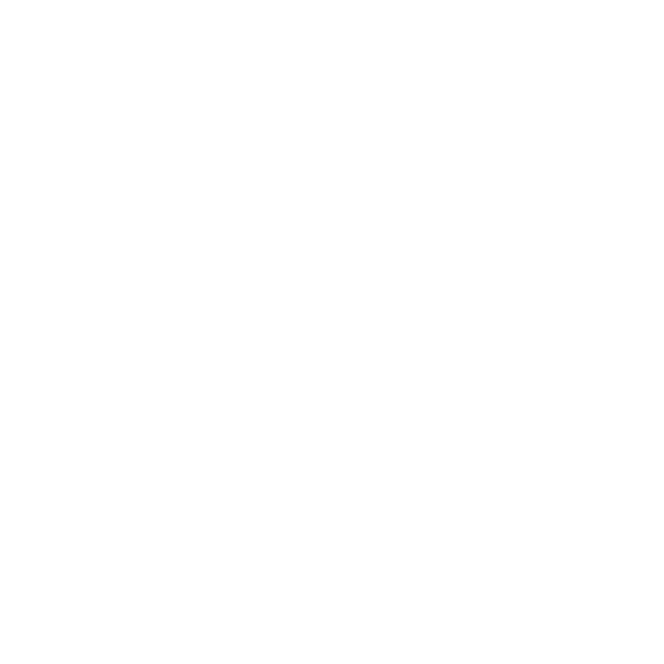 Icon: security upgrade (protection and safety)