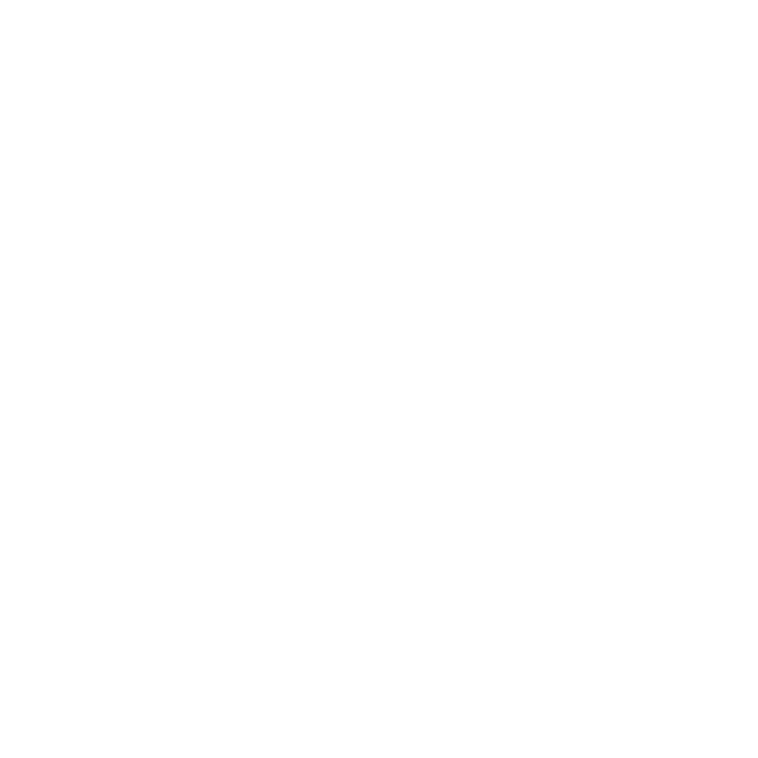 Symbolic map of South Asia – representation of the South Asian region.