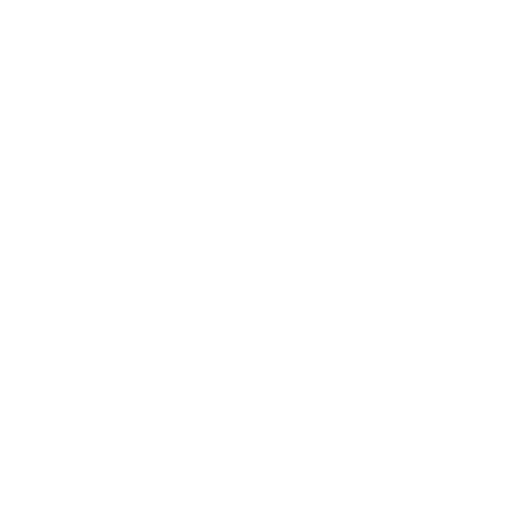 Icon of a house – symbolizing tips for helping pets settle in after moving.