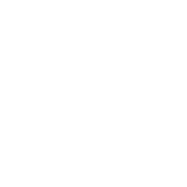 Globe with shield – icon for worldwide validity and protection in case of removal damage.