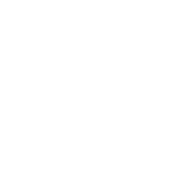 Passport with globe - USA to the EU: visa & immigration service