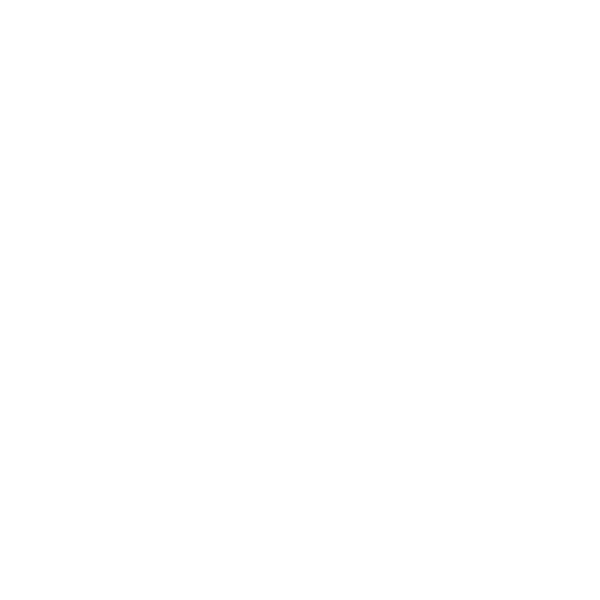 Pistol icon indicating prohibited firearms in Thailand relocation customs rules.