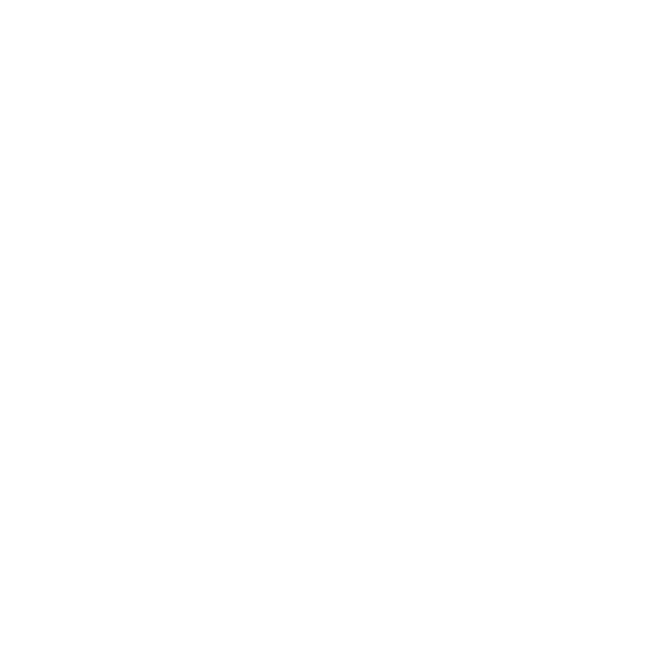 Paw icon indicating pet-related customs regulations for a USA move.