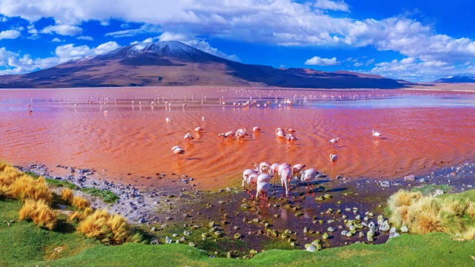 Mountains in Bolivia, with a large lake in the foreground where many flamingos gather, among other things, to feed.