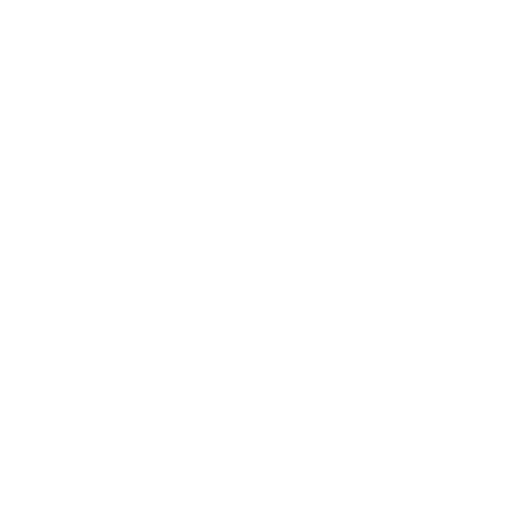 DACHSER & KOLB: Continent