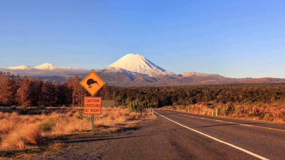 Emigrate to New Zealand: Security