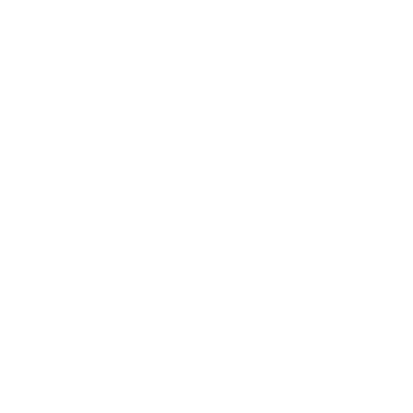 Pet food bowl for moving with pets to China