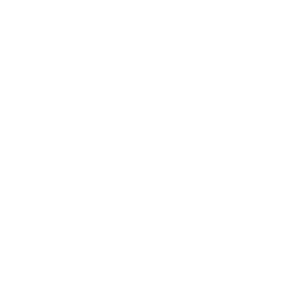 Pet carrier for moving with pets to China