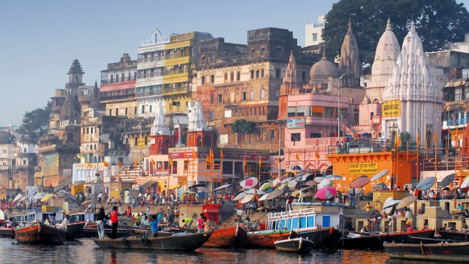 Emigrate to India: Economics