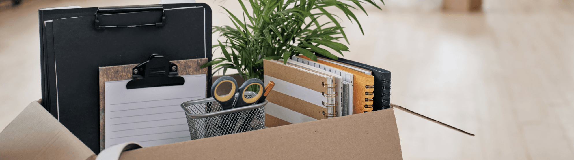 Moving box with office supplies and a plant – symbolic image for a workplace relocation