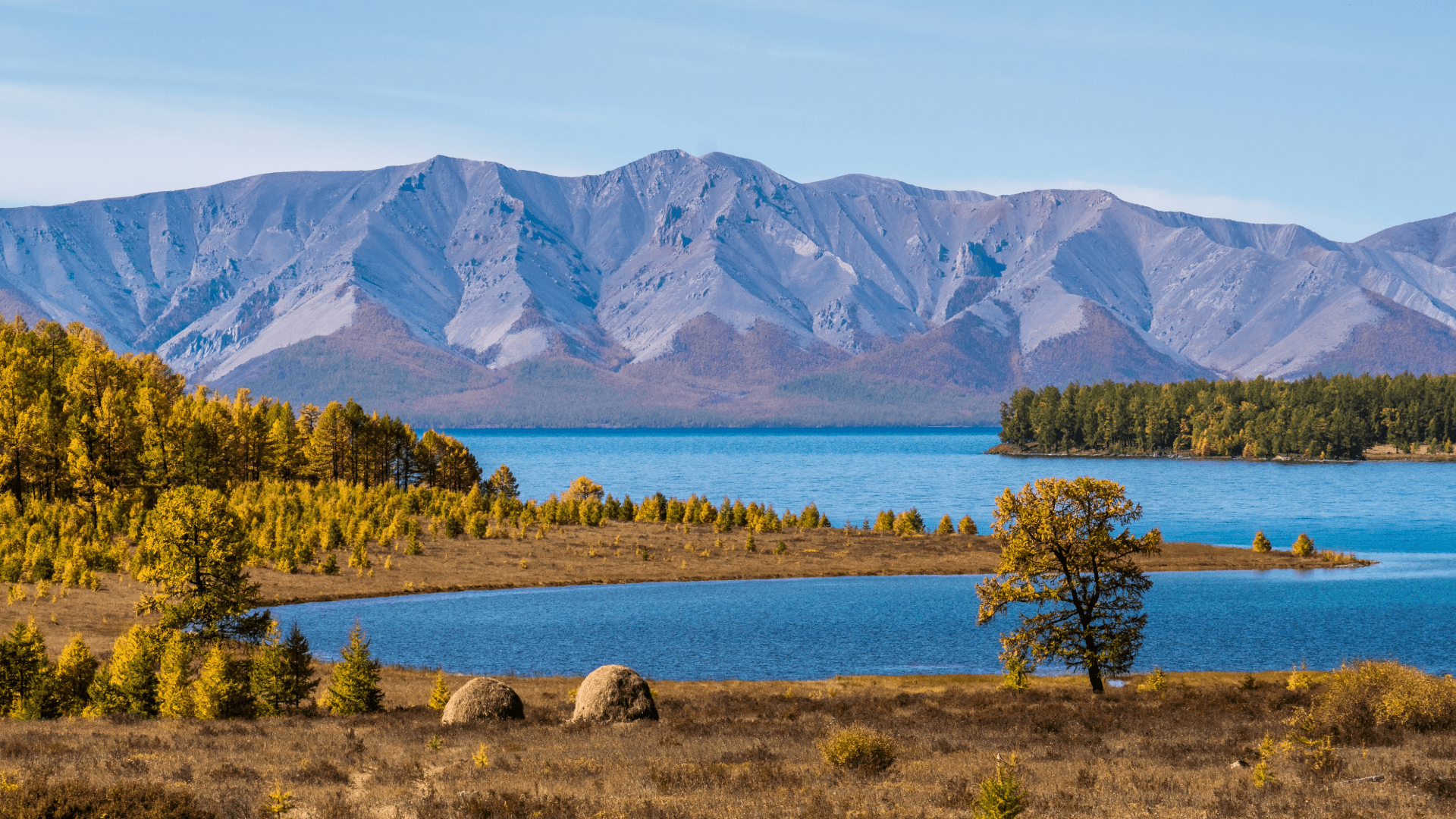 Mountain lake in Mongolia with blue water, autumn trees and a mountain range in the background