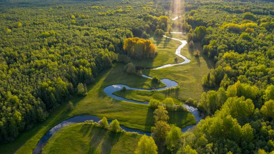 Aerial view of river landscape and dense forest in Estonia in low sunlight