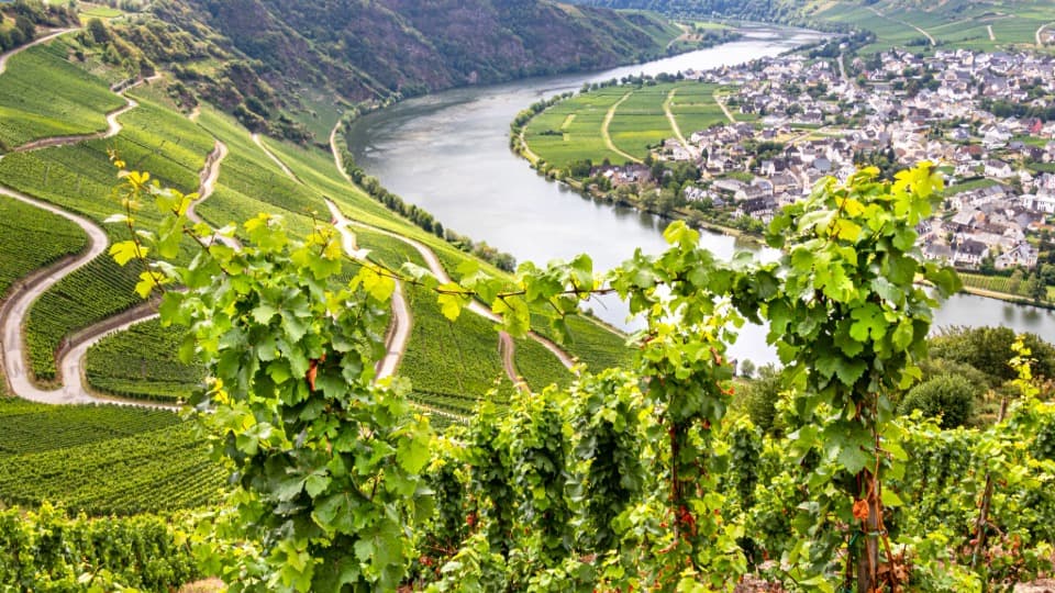 View of the Moselle loop and vineyards – an example of regional diversity and strong cultural infrastructure in Germany.