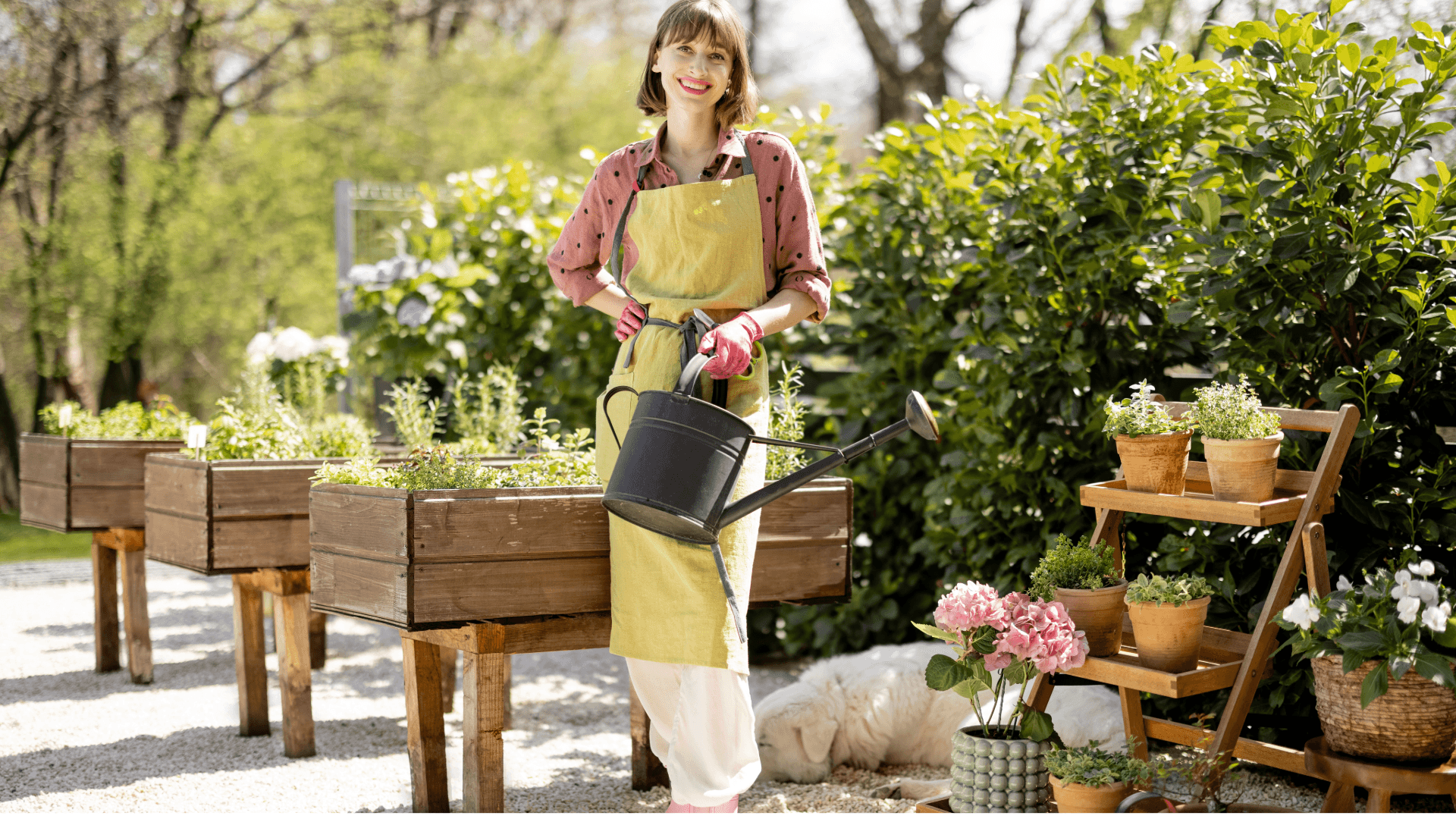 Frau gießt Hochbeet im Garten – Garten- und Landschaftsgestaltung nach dem Umzug.