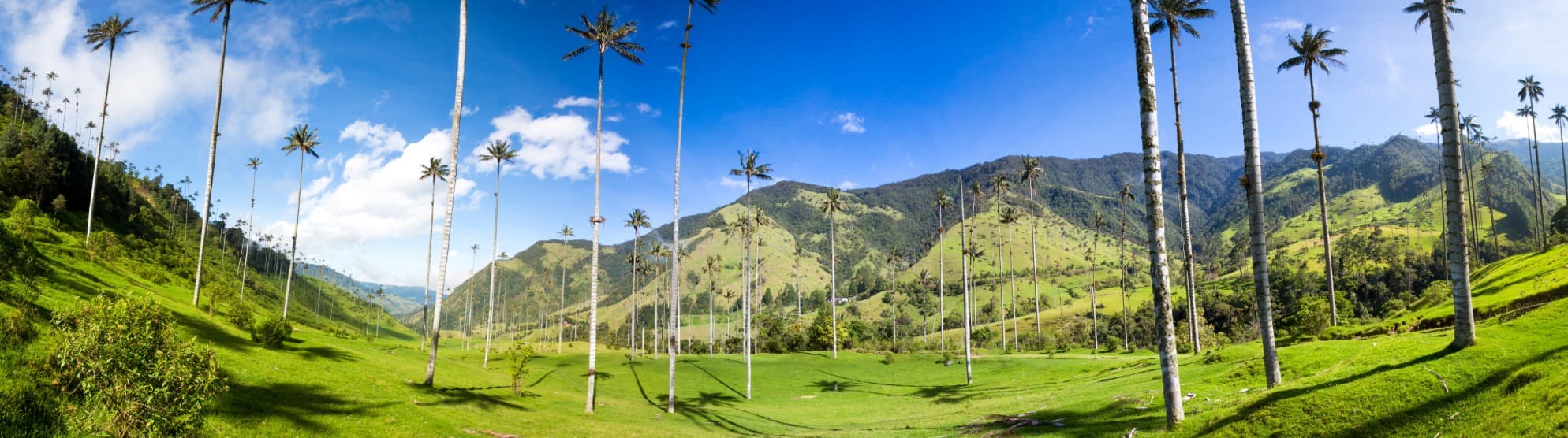 Emigrate to Colombia