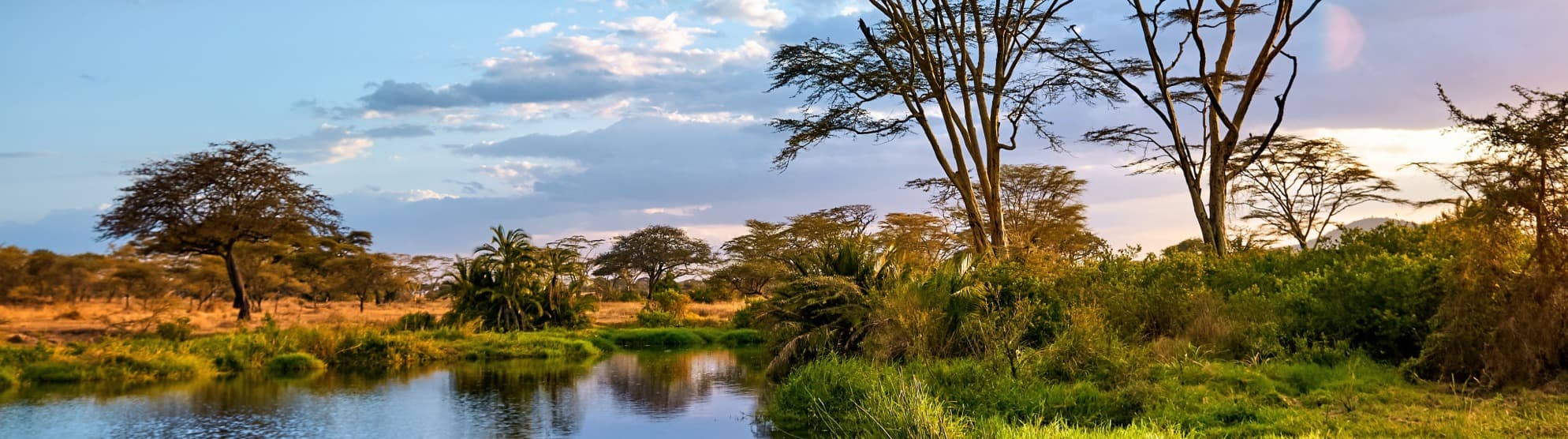 Emigrate to Tanzania