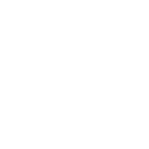 Safe icon – pack important items separately