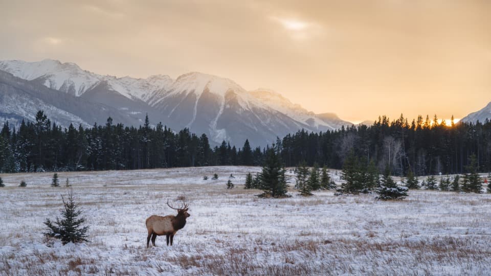 Emigrate to Canada: Climate