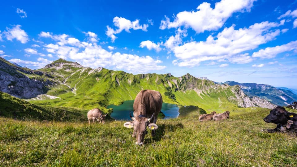 Alpine landscape at Lake Schrecksee in the Allgäu region – an example of the alpine climate and regional weather differences in Southern Germany.