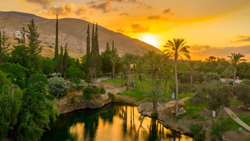 A body of water in a dry region of Israel, with trees, palm trees, green meadows, and mountains in the background