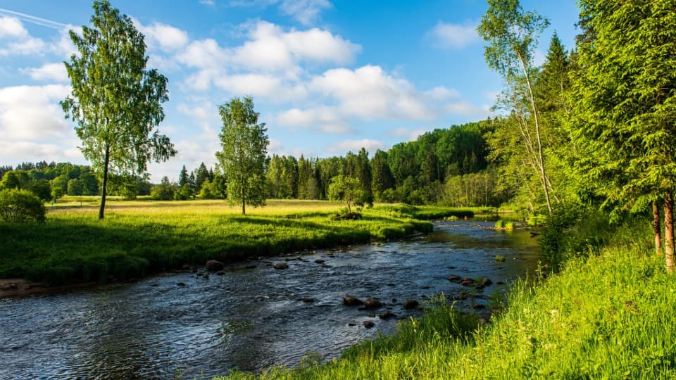 A summery riverside landscape along the Amata River in Latvia – a symbol of the warm climate and distinct seasons in the Baltic region.