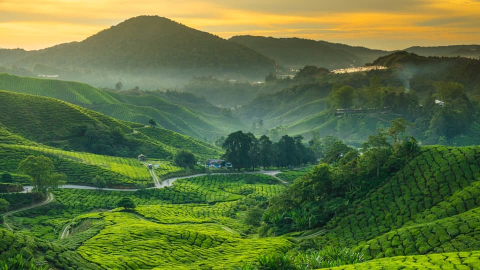A landscape featuring tropical forests, meadows, and mountains in Malaysia