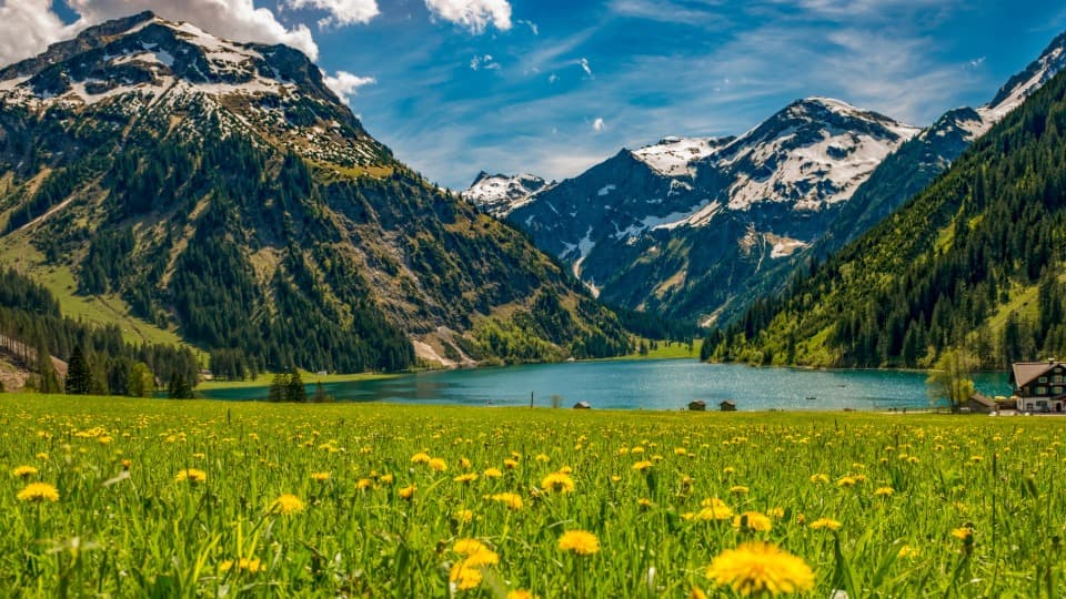 A flower-filled meadow in an Alpine region of Austria in the spring, with the Alps and a mountain lake in the background