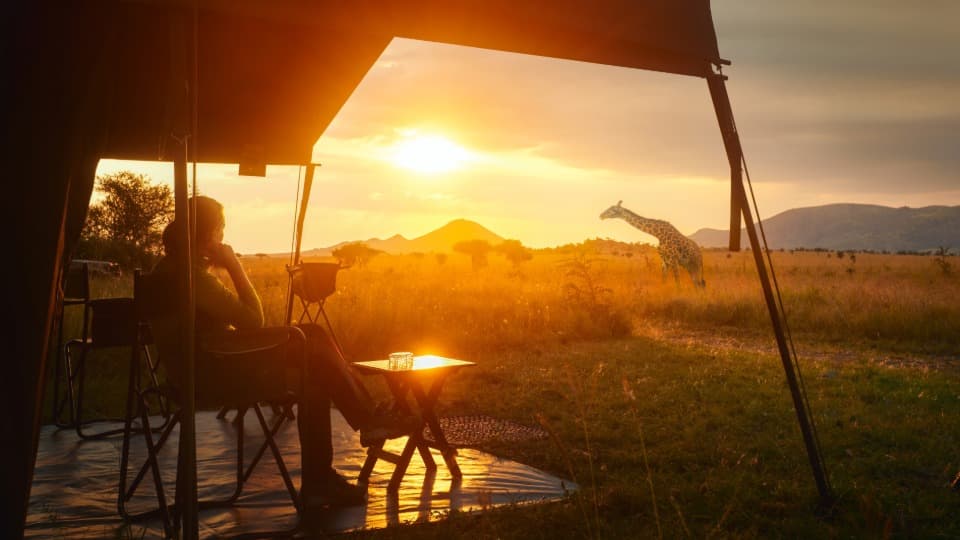 Life in Tanzania - A person sits in front of a tent at sunset, watching giraffes in the distance