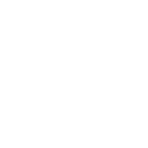 shield_1.png