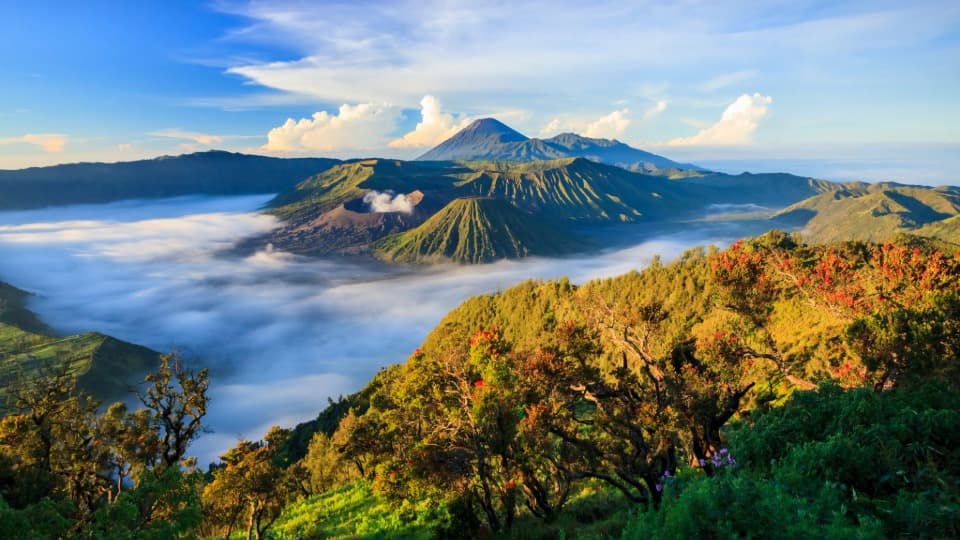 Emigrate to Indonesia: Security