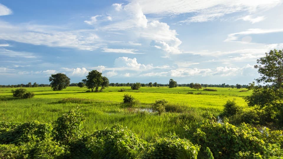 Emigrate to Cambodia: Security