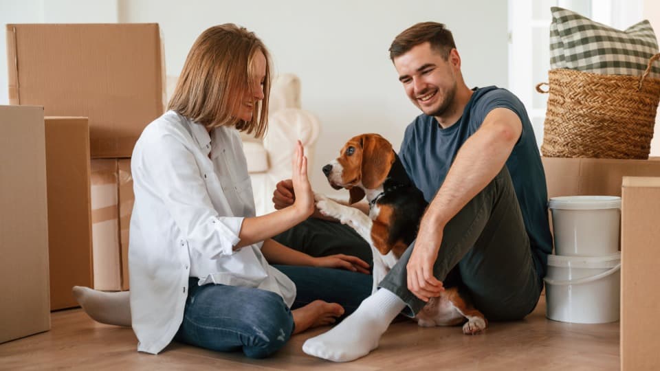 Couple with dog among moving boxes – short guide for a stress-free move with dogs or small pets.