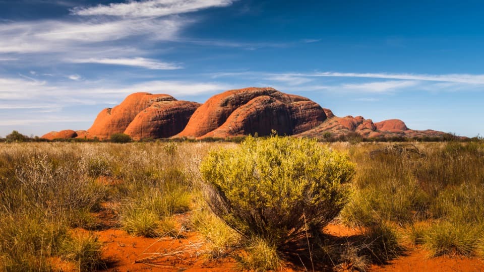 Landscape in the Australian Outback